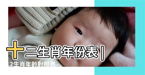 11月屬什麼|十二生肖查詢